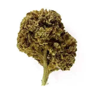 Freeze Kush Indoor