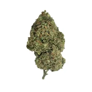 Gelato OG