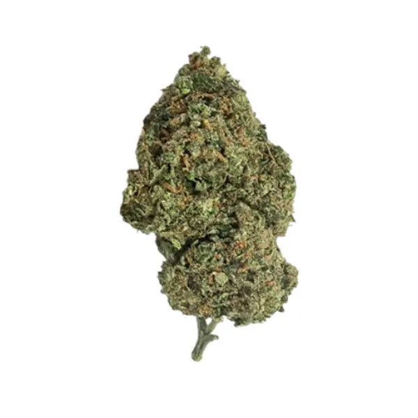Gelato OG