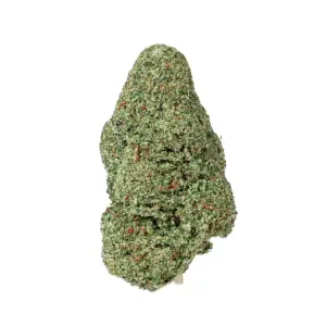 Girl Scoot Cookies
