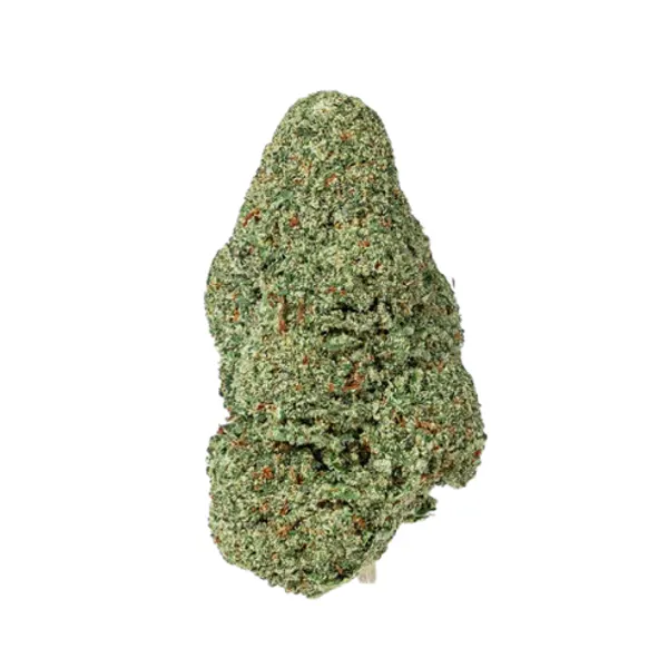 Girl Scoot Cookies
