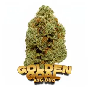 Golden Goal Hydroponique Indoor