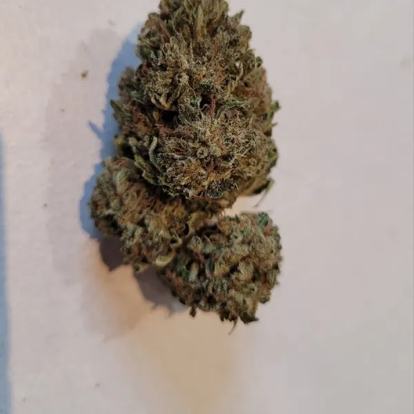 Hawaian Haze