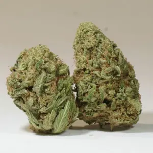 Hawaiian Haze