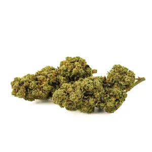 Hindu Kush