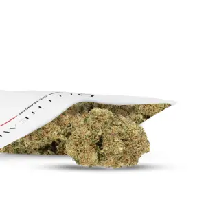 Hydroculture Indoor