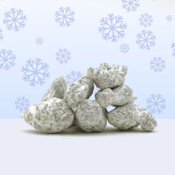 Ice Rock Interieur