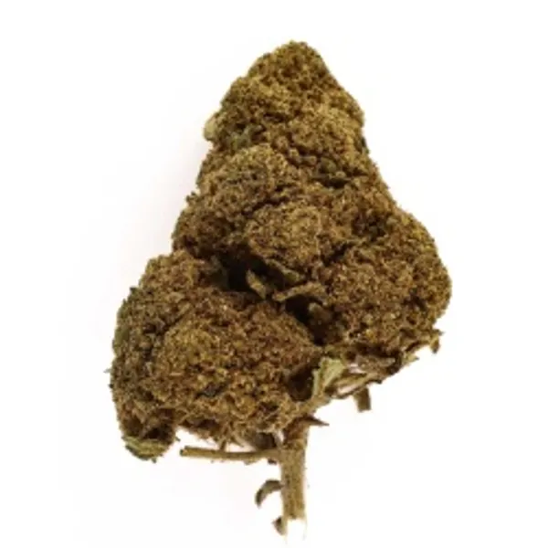Jack Herer Indoor