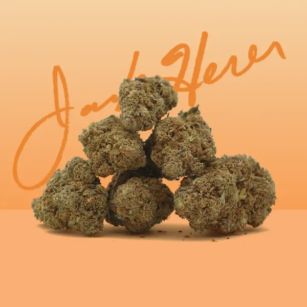 Jack Herer