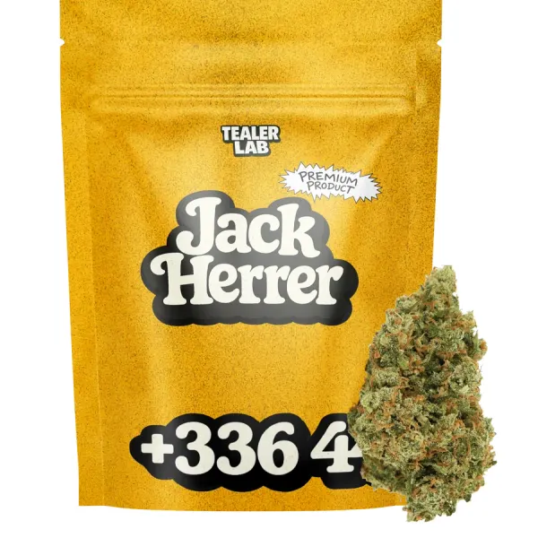 Jack Herrer
