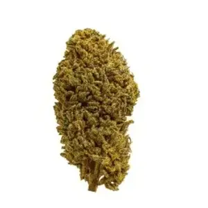 Jet Fuel
