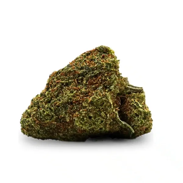 Kryptonite Hydroponie Indoor
