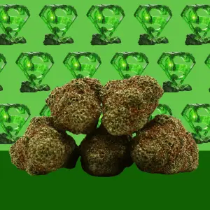 Kryptonite Hydroponique Indoor