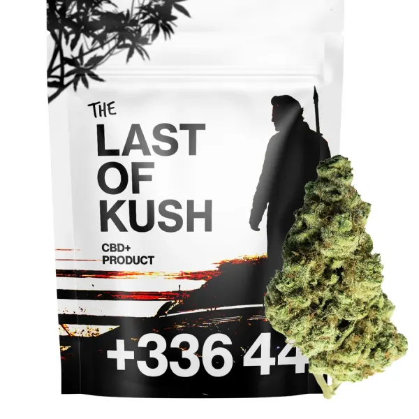 Last OF Kush Boosté