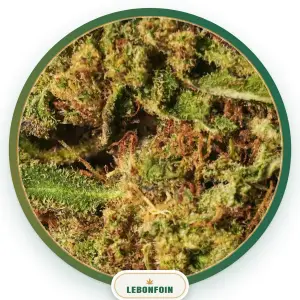 Lemon Cheese