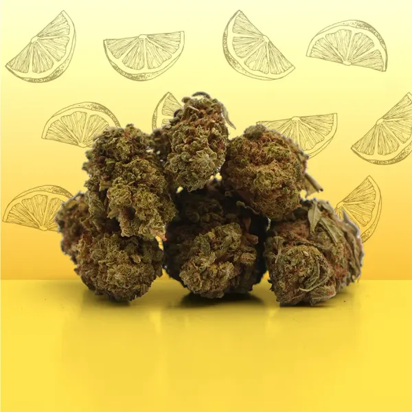 Lemon Small Buds
