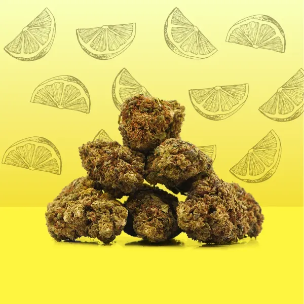 Lemon