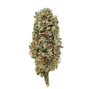 Lemon Haze 2 0