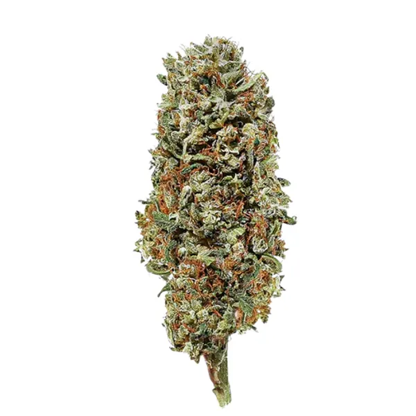 Lemon Haze 2 0