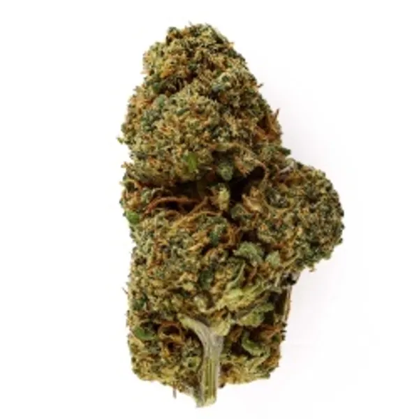 Lemon Haze Hydroponique Indoor