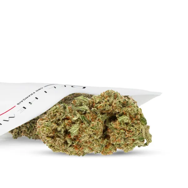 Liberty Haze Indoor