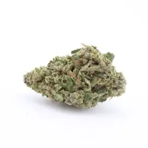 Liberty Haze Small Buds