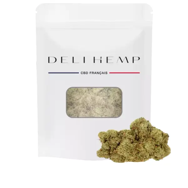 Lifter US Premium Indoor