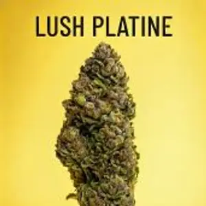 Lush Platine