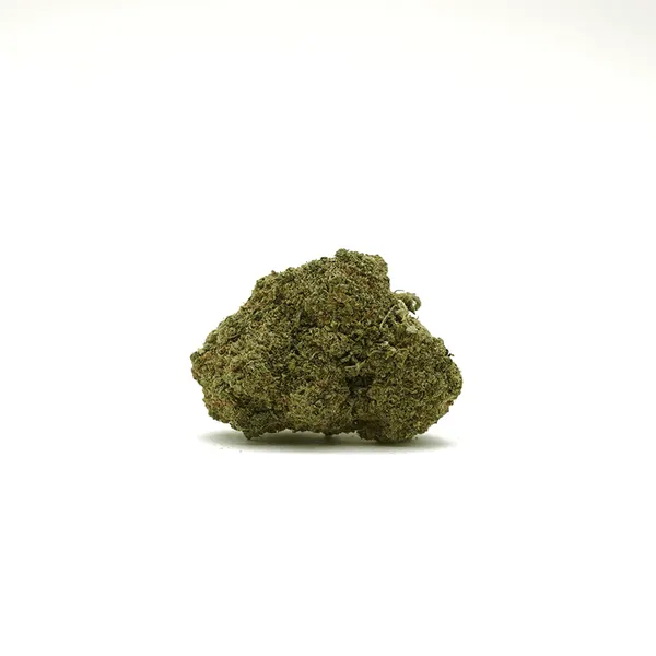 Mandarine Hydroponie Indoor