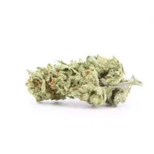 Mandarine Kush Small Buds