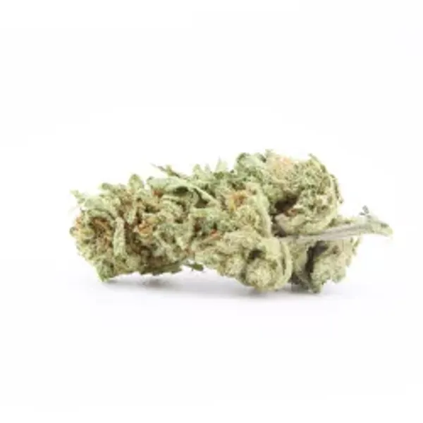 Mandarine Kush Small Buds