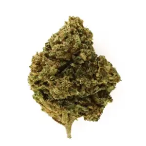 Mango Haze