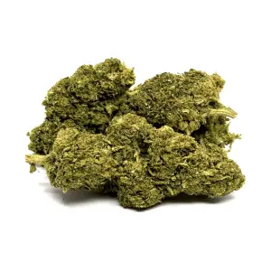 Mango Kush Delta Bz10