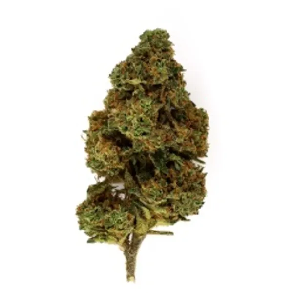 Mango Kush