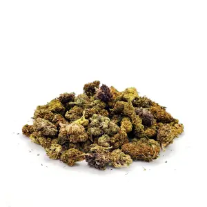 Mix Buds