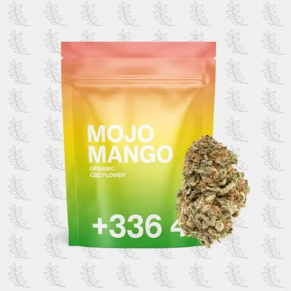 Mojo Mango Kush Indoor
