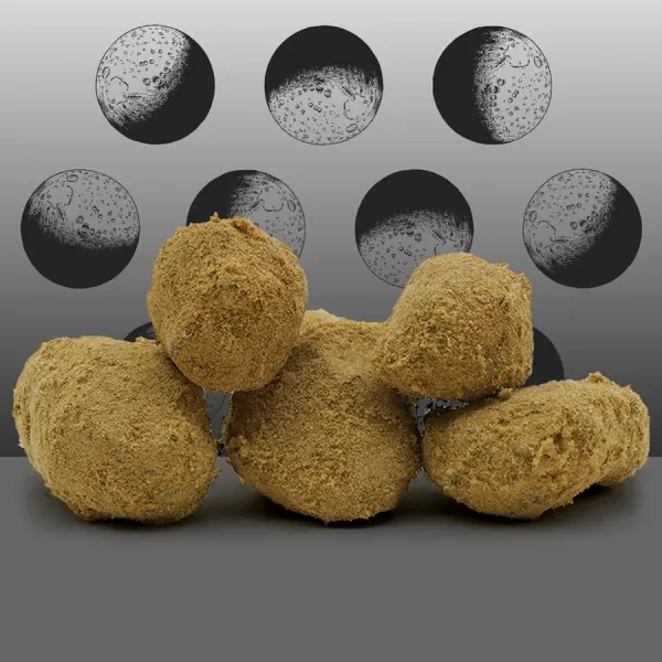 Moonrock Interieur