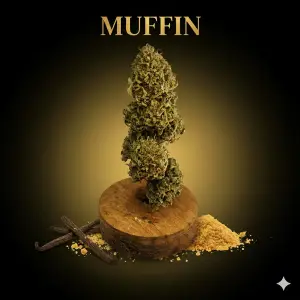 Muffin Premium