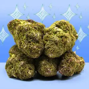 Northern Lights Indoor