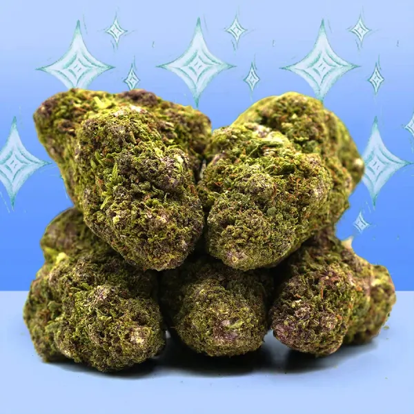 Northern Lights