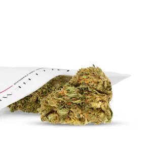 OG California Premium Indoor
