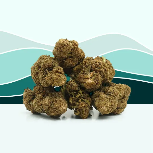 OG Kush