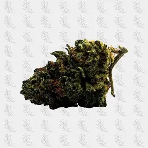 OG Kush H4cbd