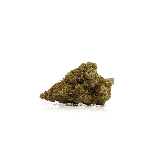 Orange Bud