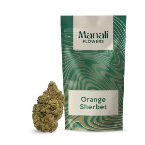Orange Sherbet