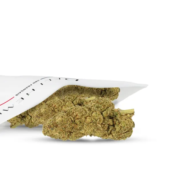 Payton Strawberry Indoor