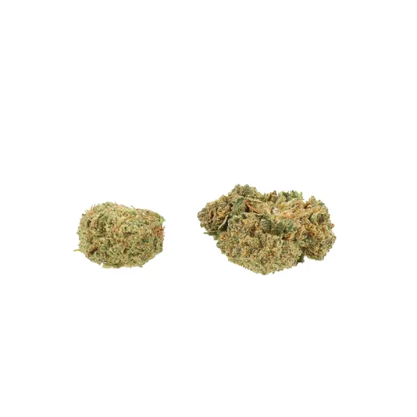 Petites Amnesia Small Buds