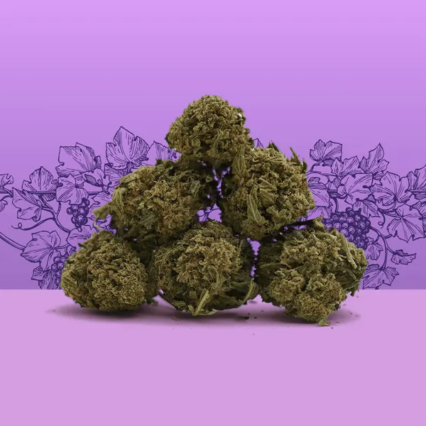 Petites Cali Grape Small Buds Indoor