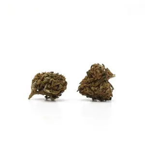 Petites Hawaiian Small Buds
