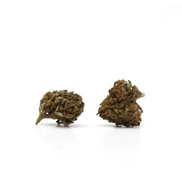 Petites Hawaiian Small Buds